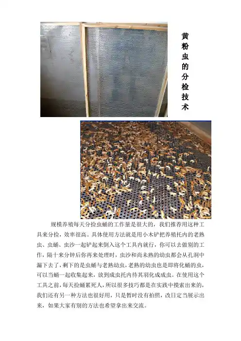 养蝎秘诀