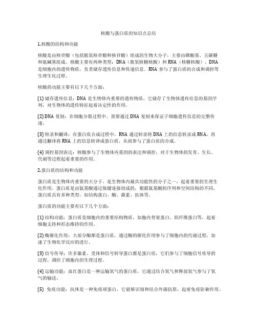 核酸与蛋白质的知识点总结