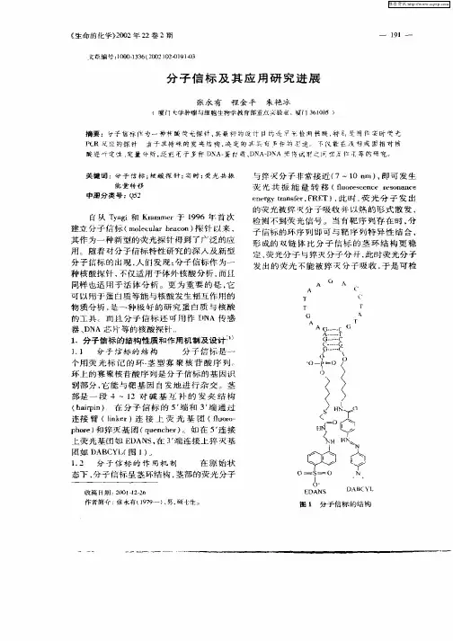 分子信标及其应用研究进展