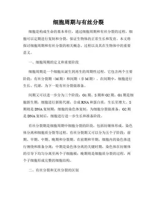 细胞周期与有丝分裂