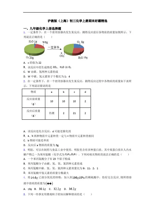沪教版(上海)初三化学初三化学上册期末好题精选