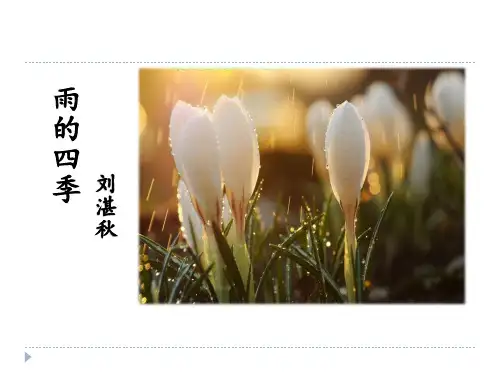 第3课《雨的四季》课件(共29张ppt)  2023-2024学年统编版语文七年级上册