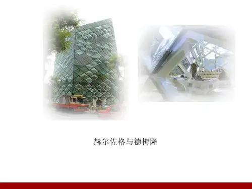赫尔佐格与德梅隆