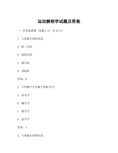 运动解剖学试题及答案