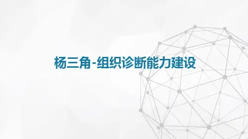 组织诊断能力建设杨三角