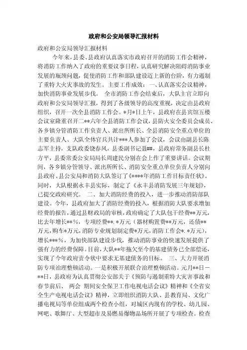 政府和公安局领导汇报材料（精简篇）