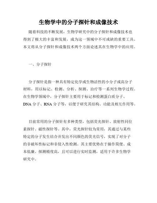 生物学中的分子探针和成像技术