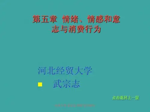 第六章感情、意志与消费行为