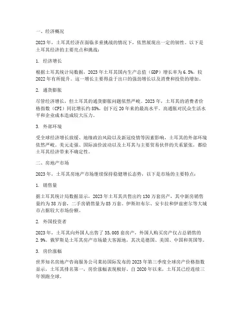 土耳其年度总结报告