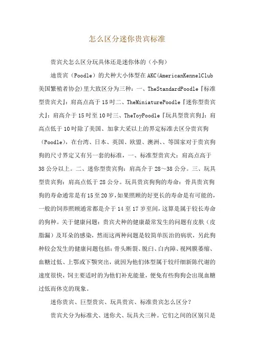 怎么区分迷你贵宾标准