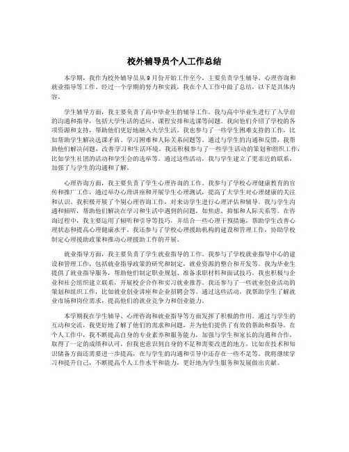 校外辅导员个人工作总结