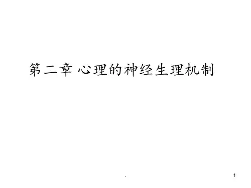 彭聃龄《普通心理学》-第02章-心理的神经生理机制PPT课件