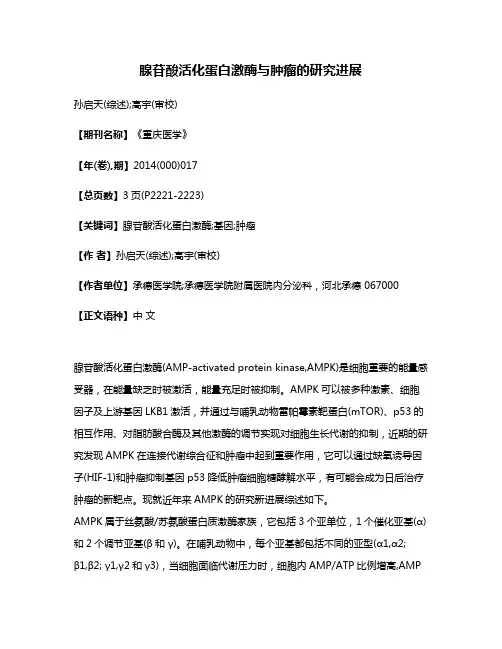 腺苷酸活化蛋白激酶与肿瘤的研究进展