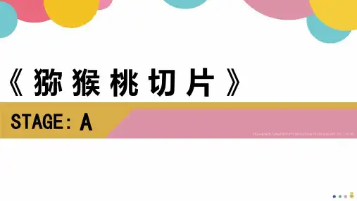 创意绘画 《猕猴桃切片》美术PPT教学课件