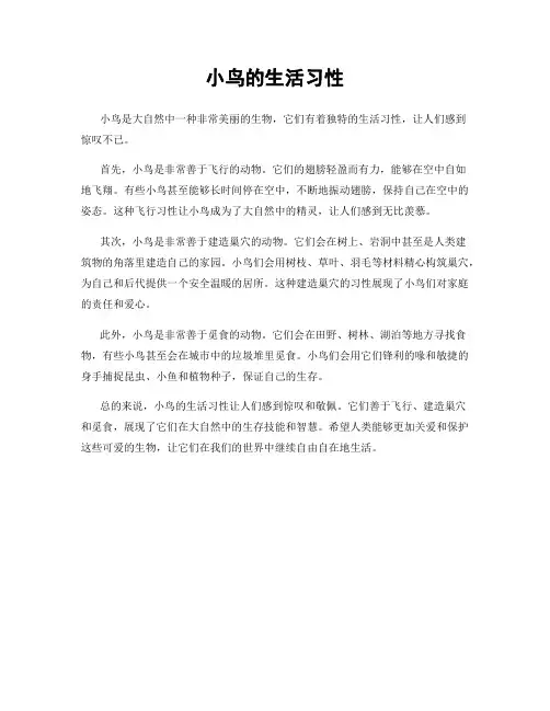 小鸟的生活习性