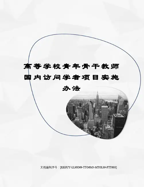 高等学校青年骨干教师国内访问学者项目实施办法