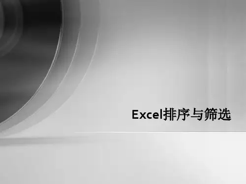 Excel排序与筛选.ppt