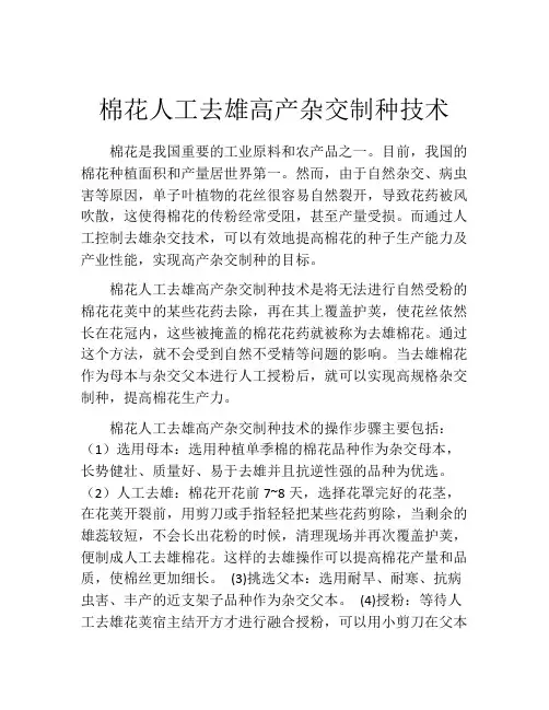 棉花人工去雄高产杂交制种技术