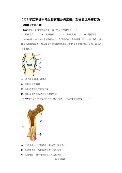 2023年江苏省中考生物真题分类汇编：动物的运动和行为(附答案解析)