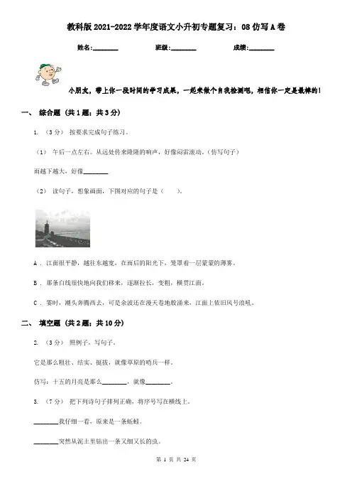 教科版2021-2022学年度语文小升初专题复习：08仿写A卷