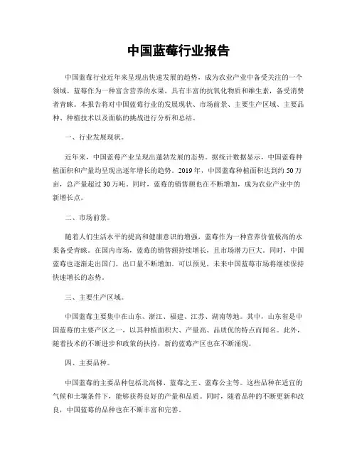 中国蓝莓行业报告