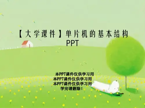【大学课件】单片机的基本结构PPT