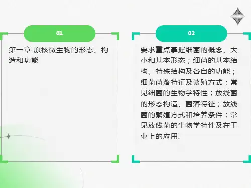 原核微生物的形态、构造和功能要求重点掌握细菌的概念