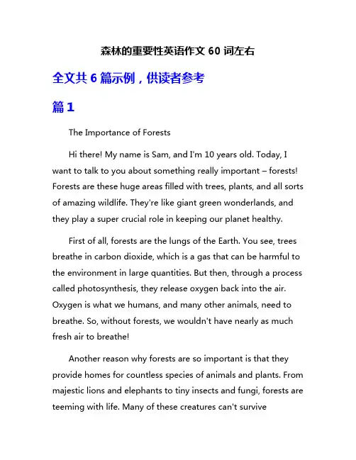 森林的重要性英语作文60词左右