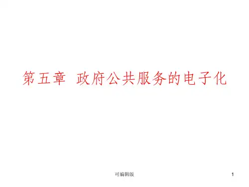 政府公共服务的电子化