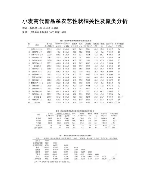 小麦高代新品系农艺性状相关性及聚类分析
