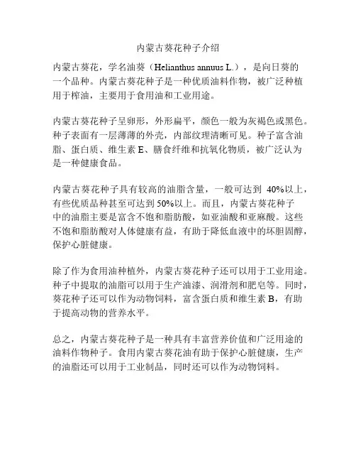 内蒙古葵花种子介绍