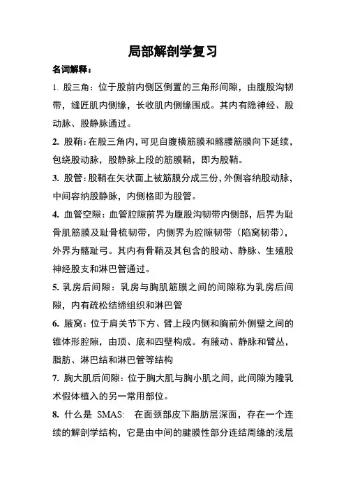 局部解剖学复习