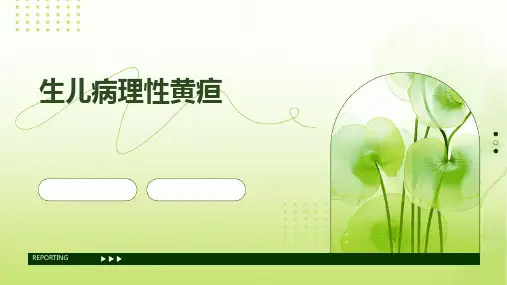 《生儿病理性黄疸》课件