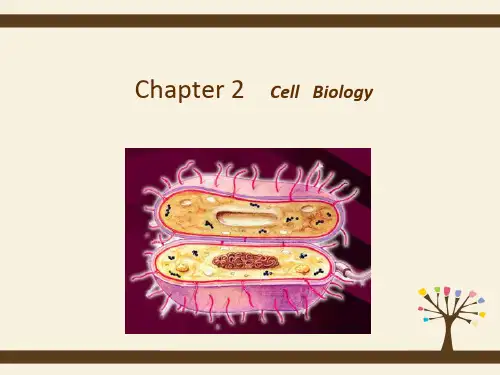 华中农业大学微生物学第二章