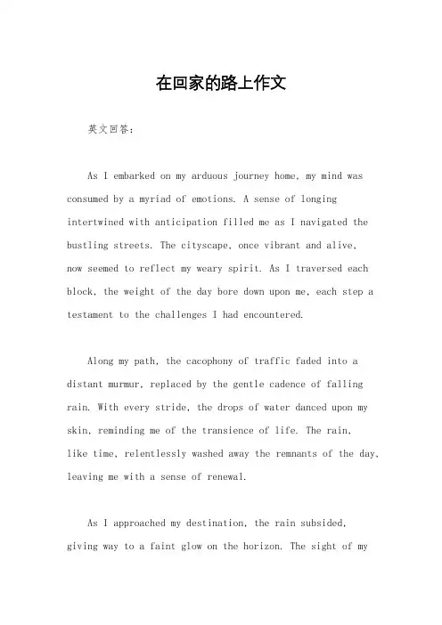 在回家的路上作文