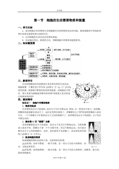 人教版生物-七年级上册-【步步为“赢”】生物人教版七上第二单元第二章第一节 导学案