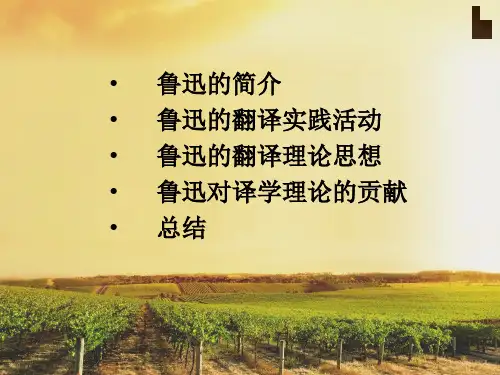 最新十二鲁迅对译学理幻灯片