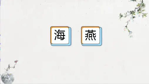 第4课《海燕》课件+2023—2024学年统编版语文九年级下册