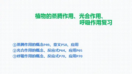 鲁科版六年级下册第三单元  植物的三大作用复习课(共28张PPT)