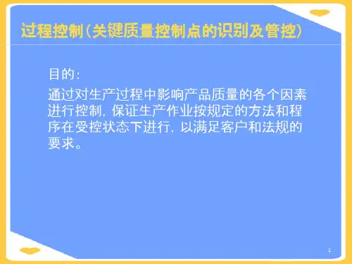 (2021)过程控制正式版PPT资料