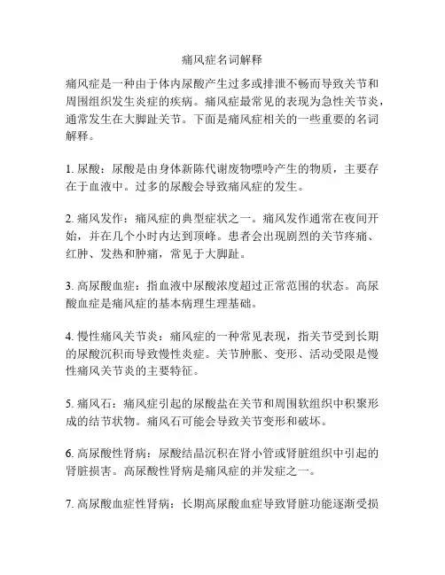 痛风症名词解释