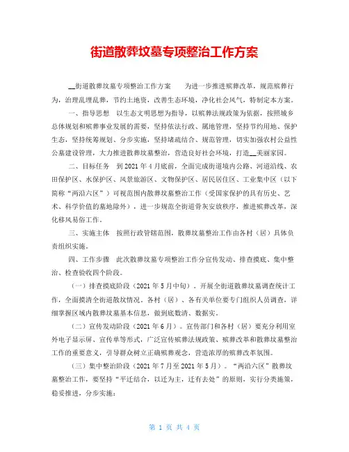 街道散葬坟墓专项整治工作方案