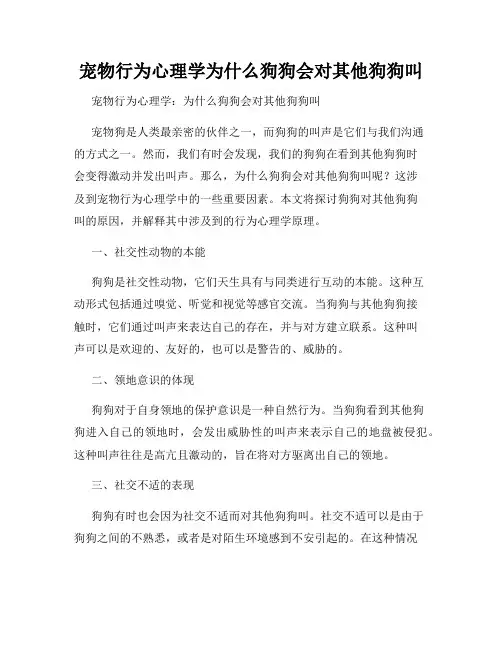 宠物行为心理学为什么狗狗会对其他狗狗叫