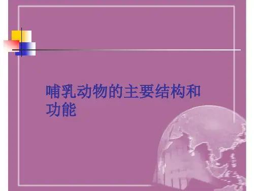 哺乳动物的主要结构和功能