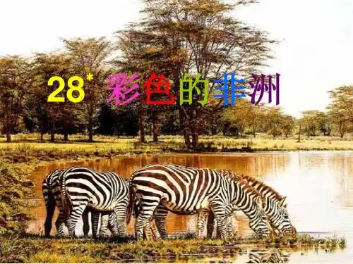 鲁教版语文五上《彩色的非洲》ppt课件1
