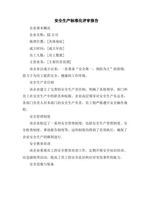 安全生产标准化评审报告