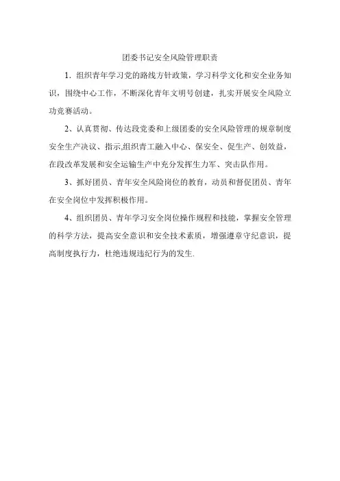 团委书记安全风险管理职责