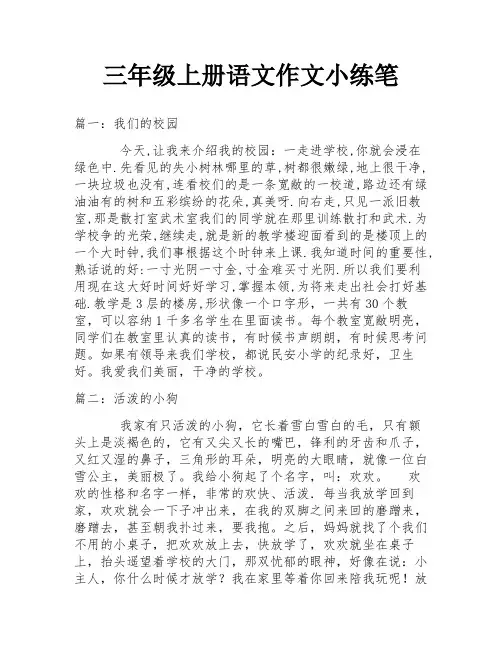 三年级上册语文作文小练笔