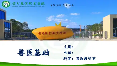 兽医基础-22心血管系统检查