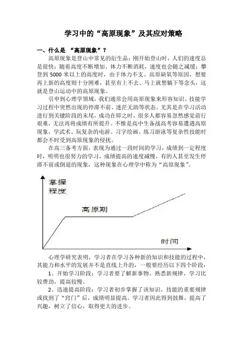 学习中“高原现象”及其应对策略